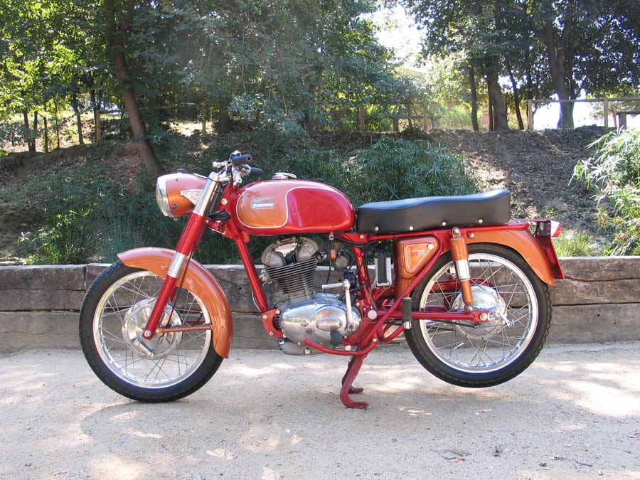 TS175